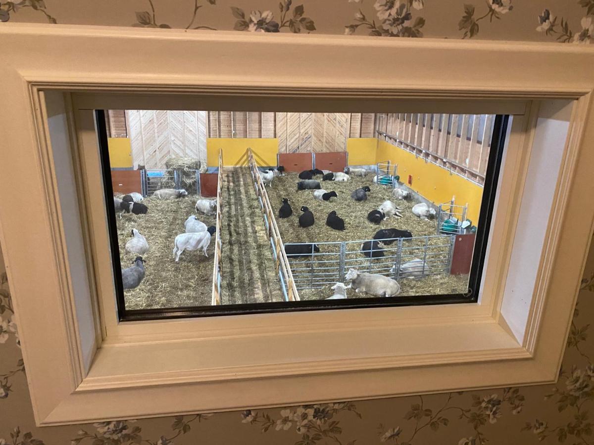 Newly Built Apartment Next Door To The Sheep Norrfjarden ภายนอก รูปภาพ