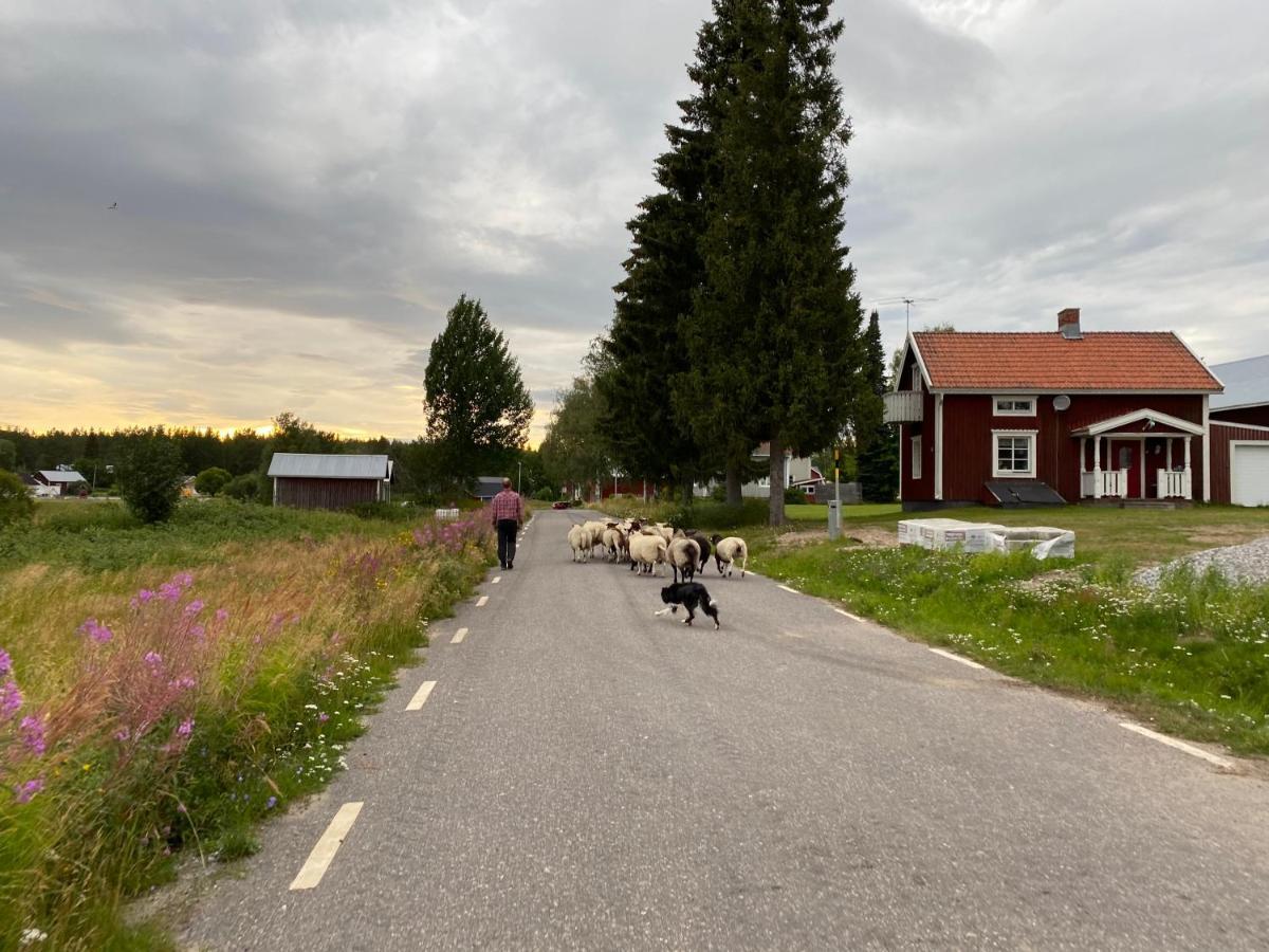 Newly Built Apartment Next Door To The Sheep Norrfjarden ภายนอก รูปภาพ